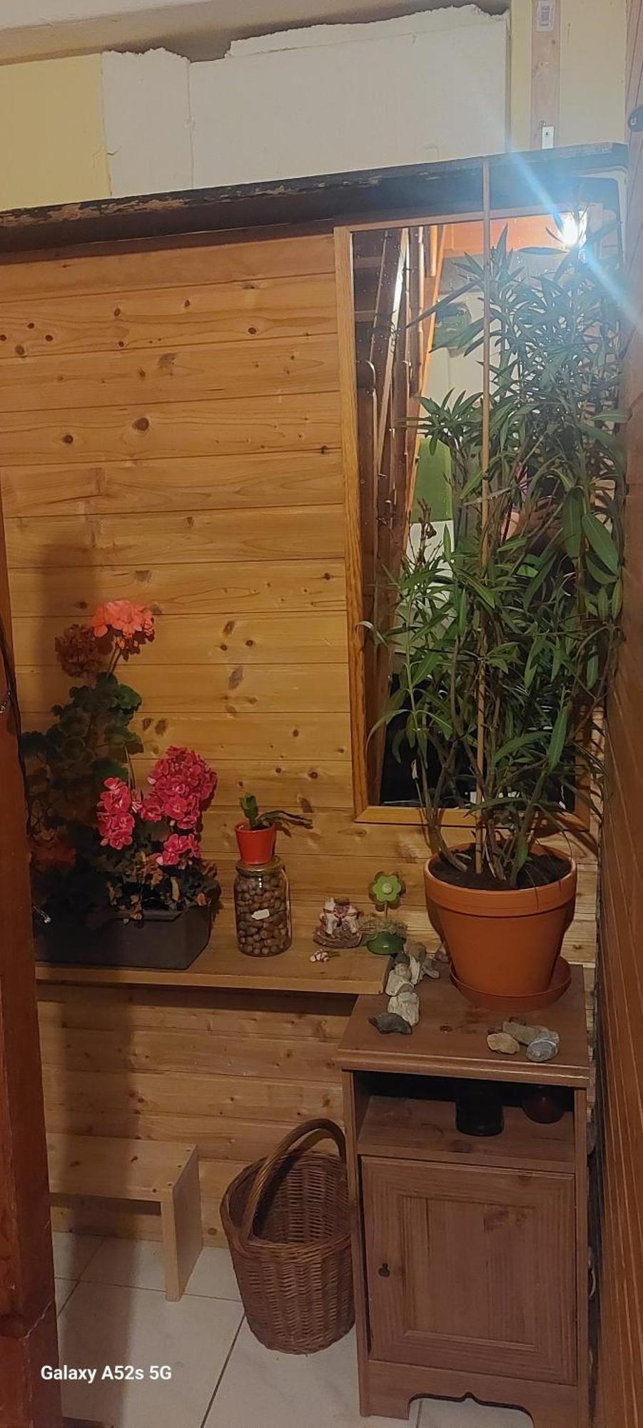 Brno - Apartman V Bohemske Ctvrti Kamenka Exteriör bild