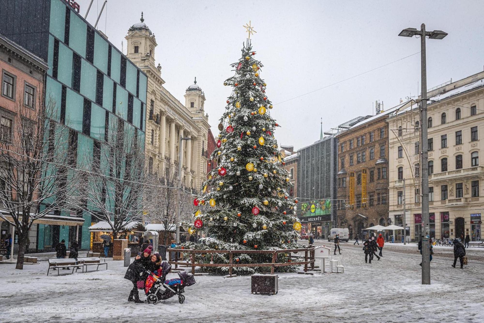 Brno - Apartman V Bohemske Ctvrti Kamenka Exteriör bild